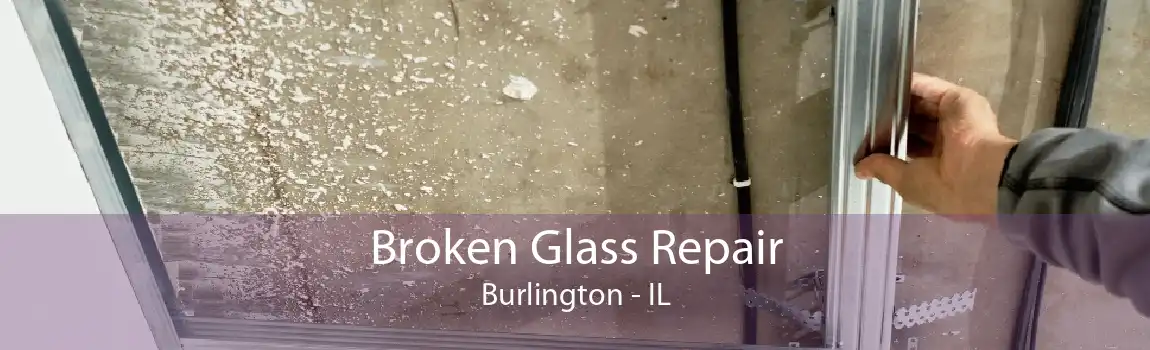 Broken Glass Repair Burlington - IL