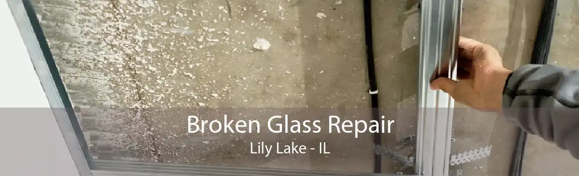 Broken Glass Repair Lily Lake - IL
