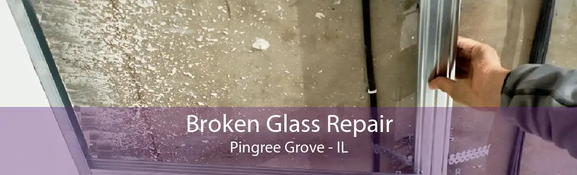 Broken Glass Repair Pingree Grove - IL