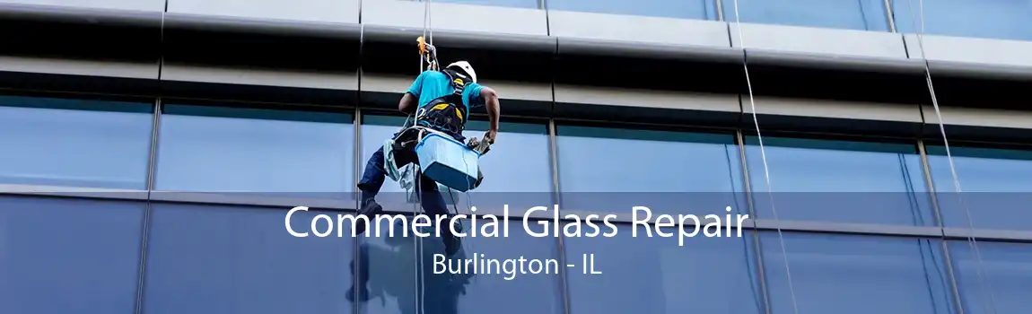 Commercial Glass Repair Burlington - IL