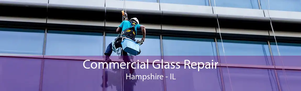 Commercial Glass Repair Hampshire - IL