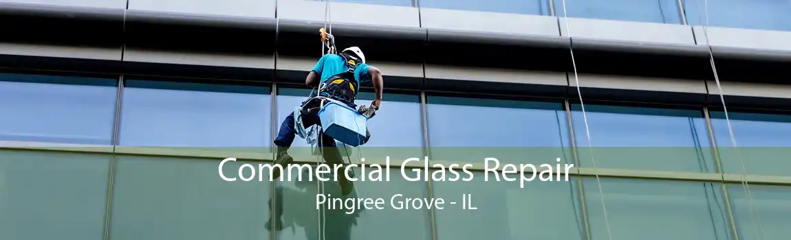 Commercial Glass Repair Pingree Grove - IL