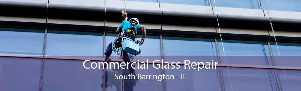 Commercial Glass Repair South Barrington - IL