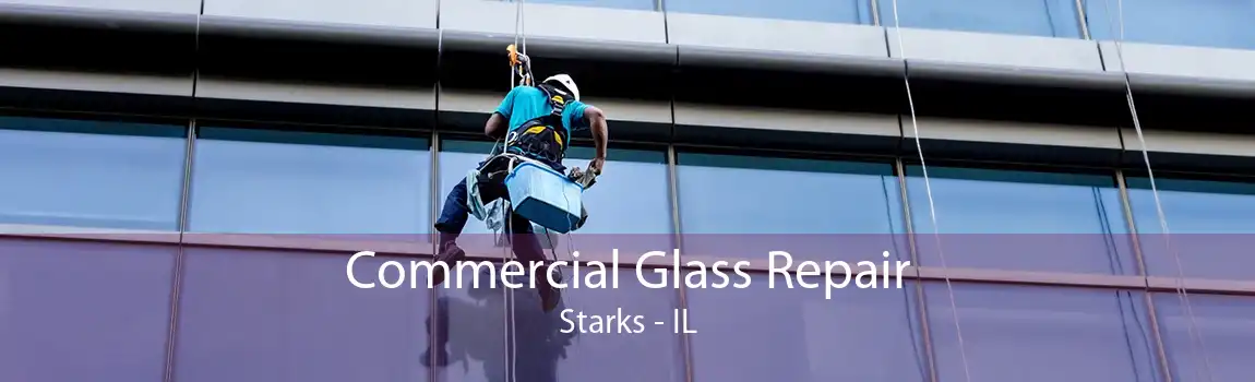 Commercial Glass Repair Starks - IL
