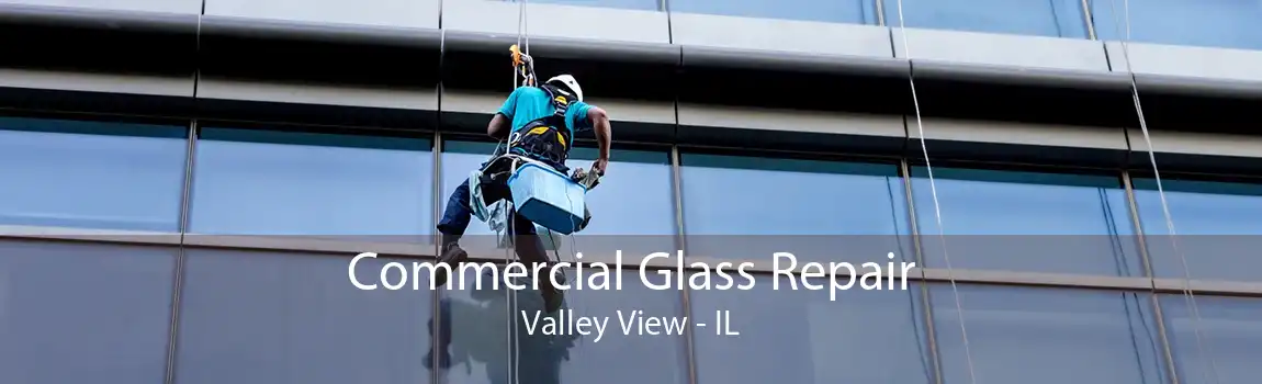 Commercial Glass Repair Valley View - IL