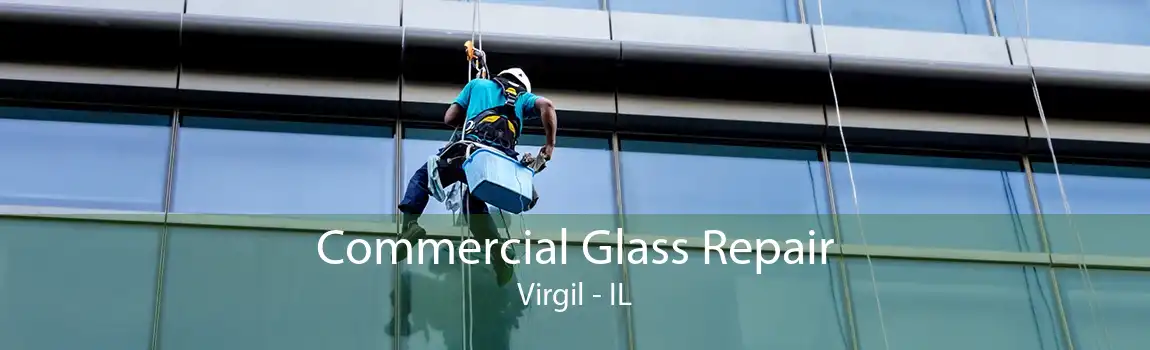 Commercial Glass Repair Virgil - IL