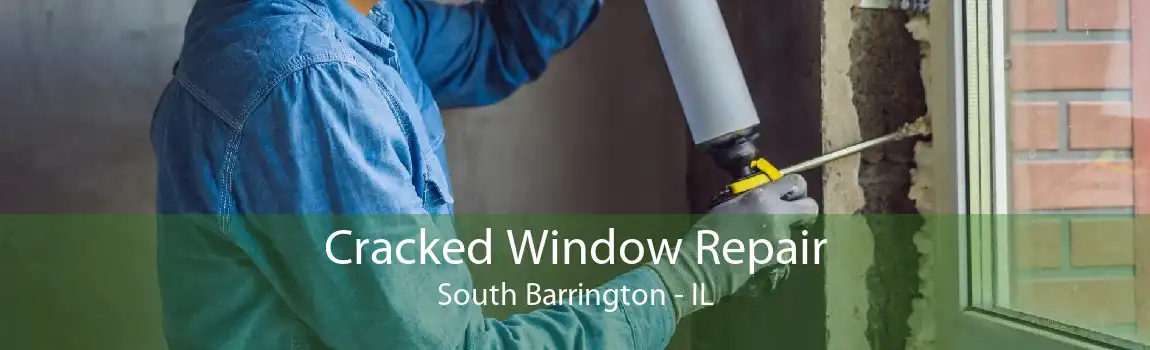 Cracked Window Repair South Barrington - IL
