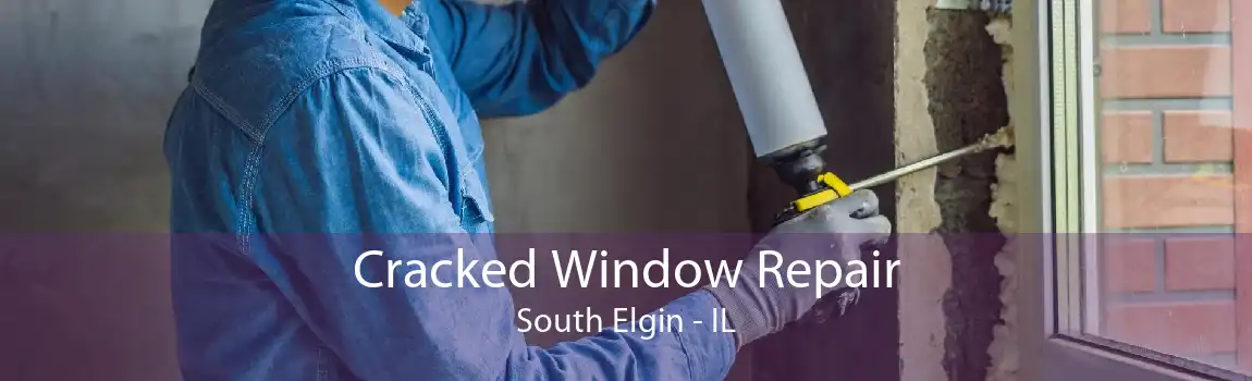 Cracked Window Repair South Elgin - IL