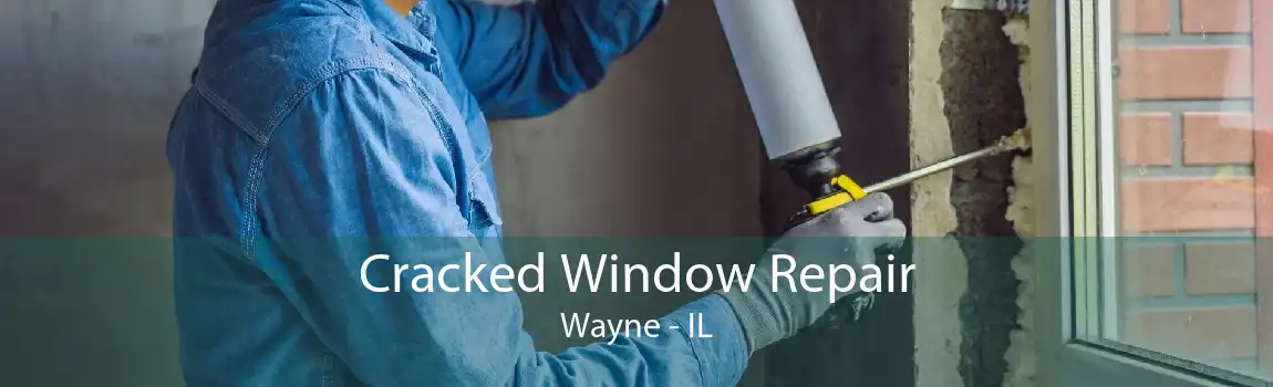 Cracked Window Repair Wayne - IL