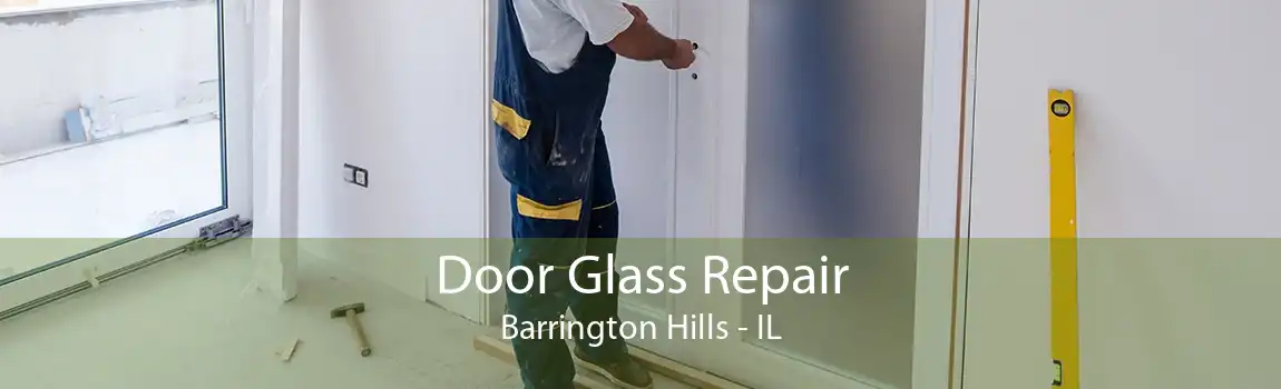 Door Glass Repair Barrington Hills - IL