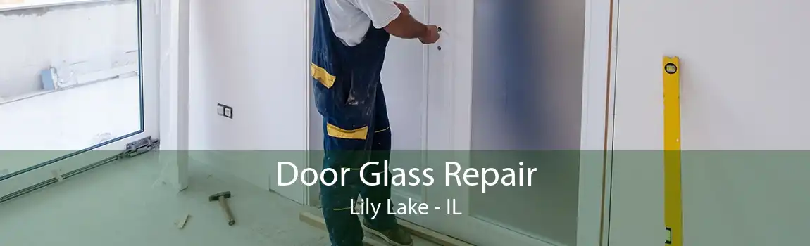 Door Glass Repair Lily Lake - IL