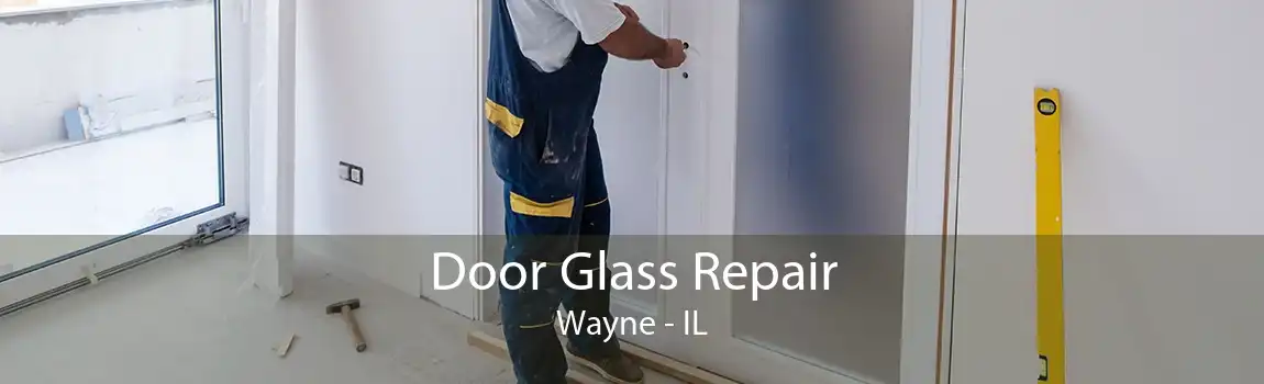 Door Glass Repair Wayne - IL