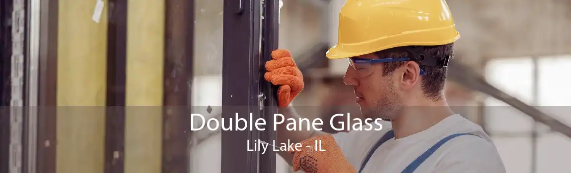 Double Pane Glass Lily Lake - IL