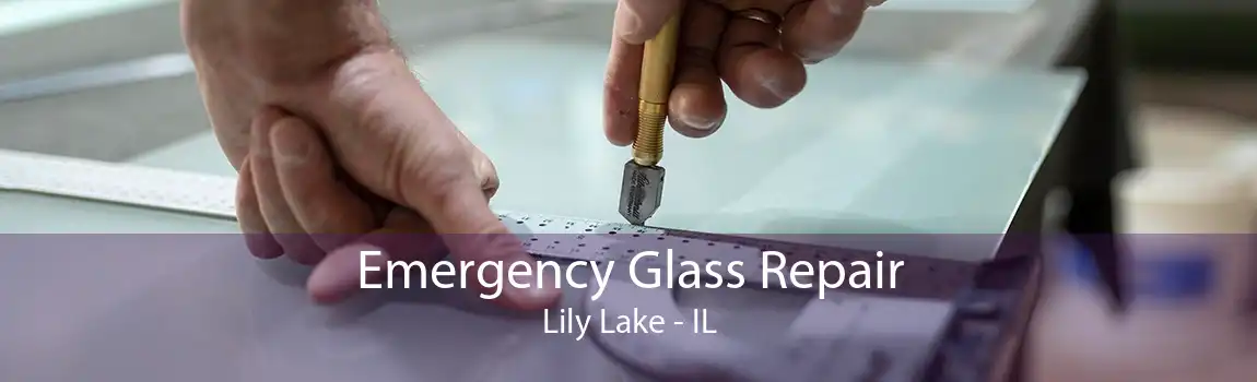 Emergency Glass Repair Lily Lake - IL