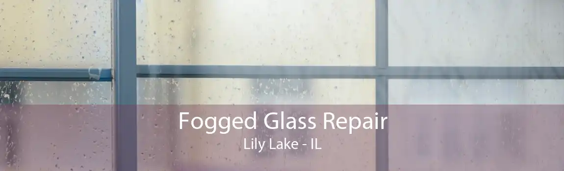 Fogged Glass Repair Lily Lake - IL