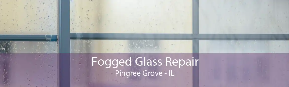 Fogged Glass Repair Pingree Grove - IL