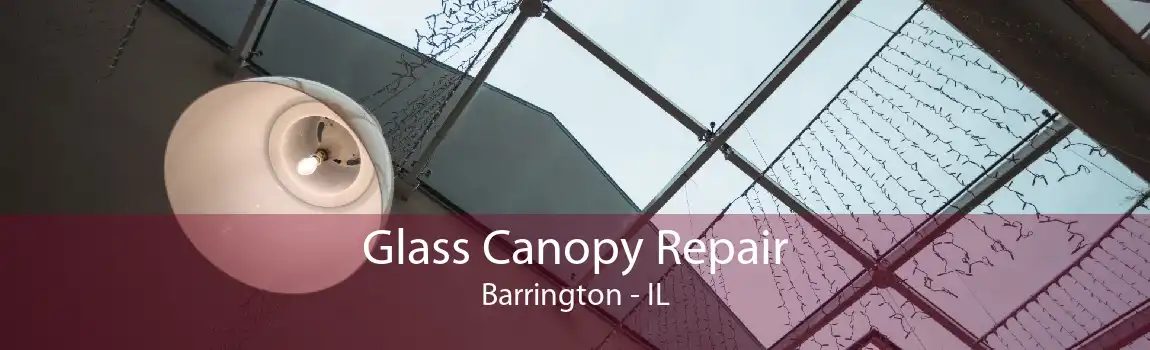 Glass Canopy Repair Barrington - IL