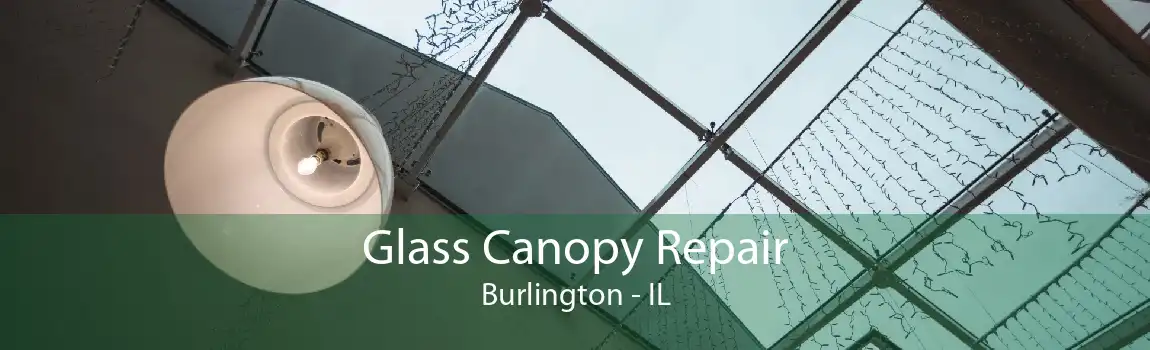 Glass Canopy Repair Burlington - IL