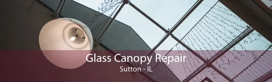 Glass Canopy Repair Sutton - IL