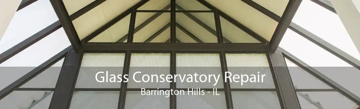 Glass Conservatory Repair Barrington Hills - IL