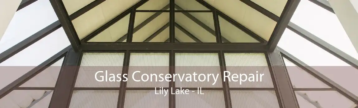 Glass Conservatory Repair Lily Lake - IL