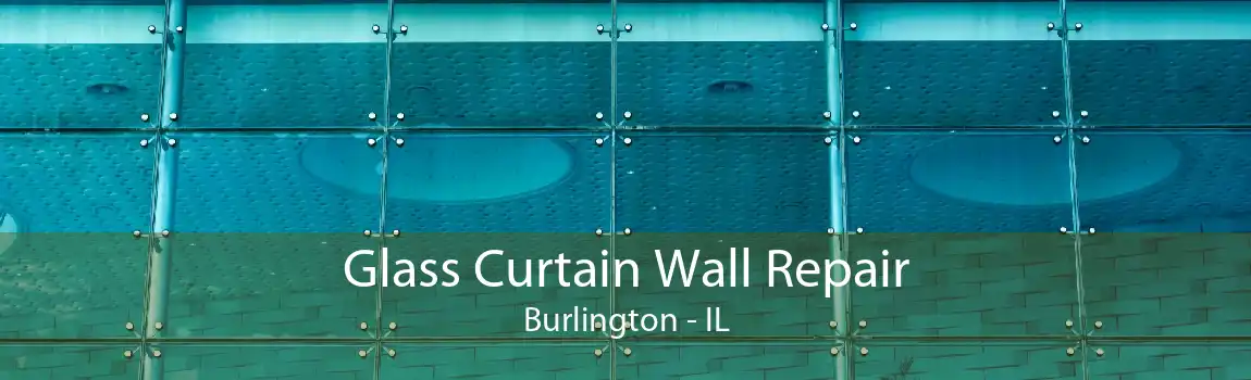 Glass Curtain Wall Repair Burlington - IL