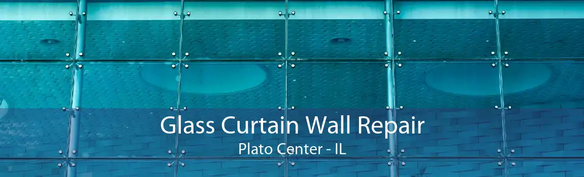 Glass Curtain Wall Repair Plato Center - IL
