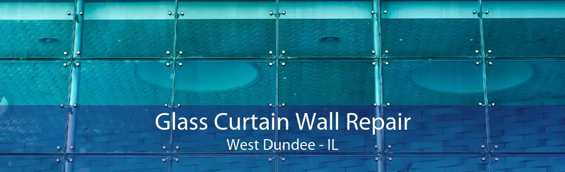 Glass Curtain Wall Repair West Dundee - IL
