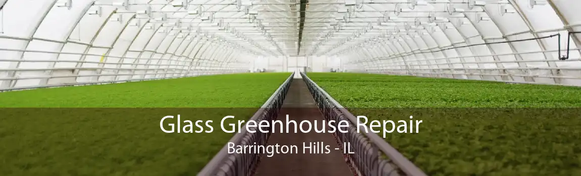 Glass Greenhouse Repair Barrington Hills - IL