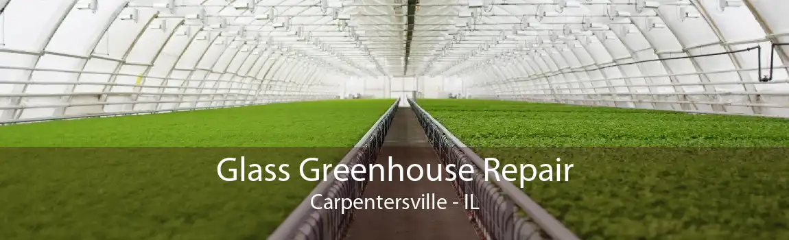 Glass Greenhouse Repair Carpentersville - IL