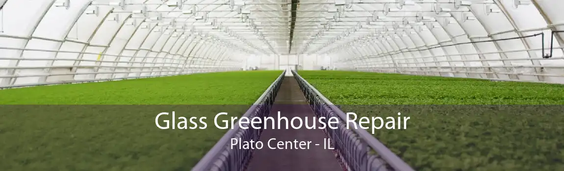 Glass Greenhouse Repair Plato Center - IL
