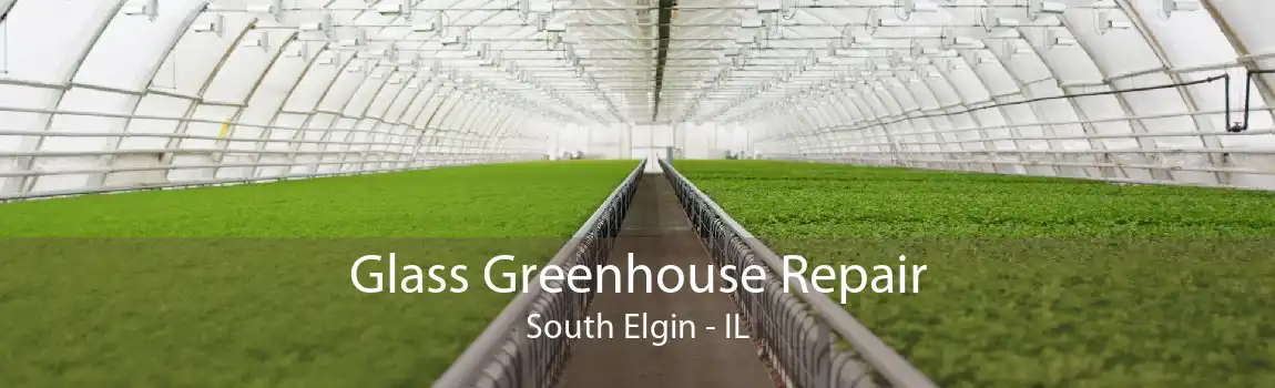 Glass Greenhouse Repair South Elgin - IL