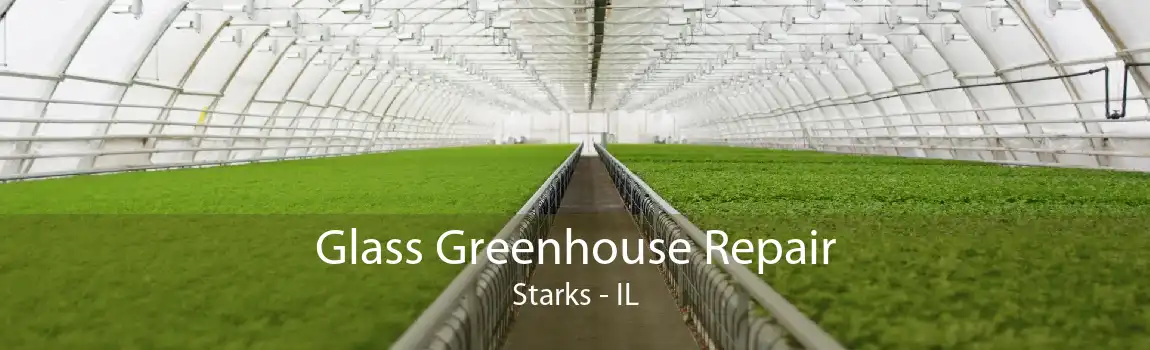 Glass Greenhouse Repair Starks - IL