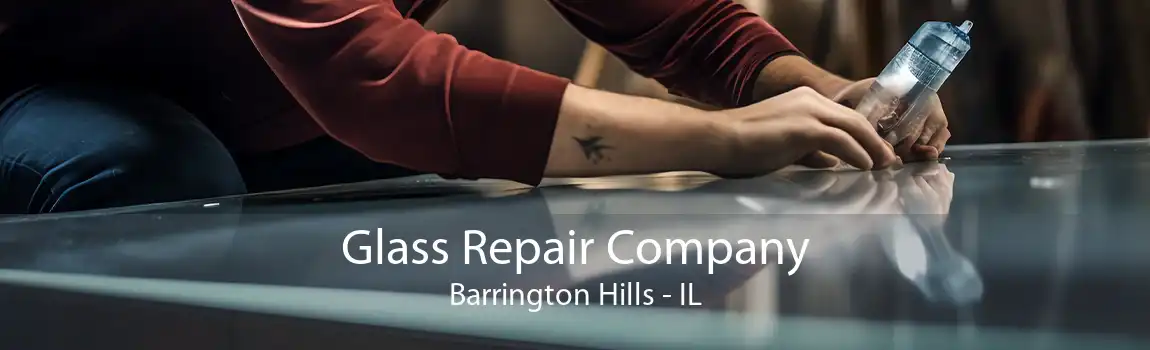 Glass Repair Company Barrington Hills - IL