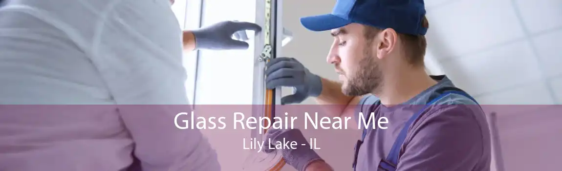 Glass Repair Near Me Lily Lake - IL