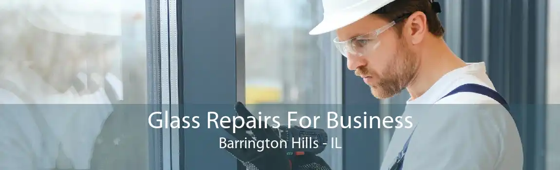 Glass Repairs For Business Barrington Hills - IL