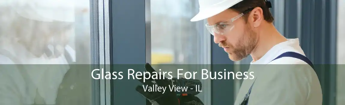 Glass Repairs For Business Valley View - IL