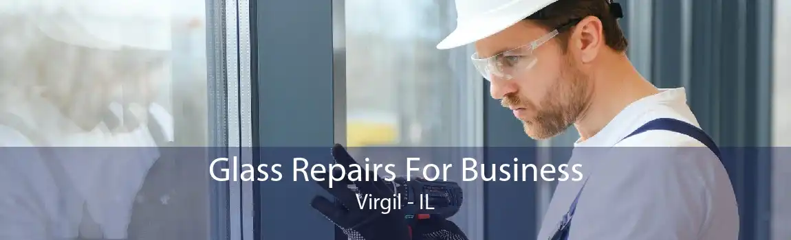 Glass Repairs For Business Virgil - IL