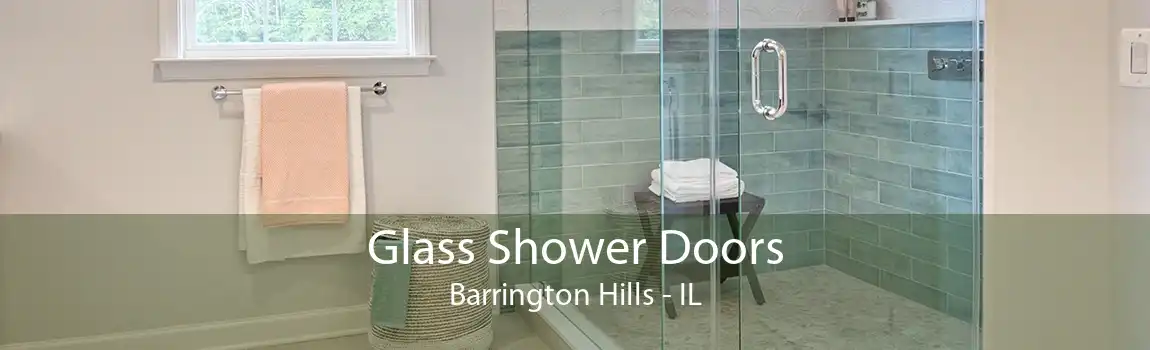 Glass Shower Doors Barrington Hills - IL