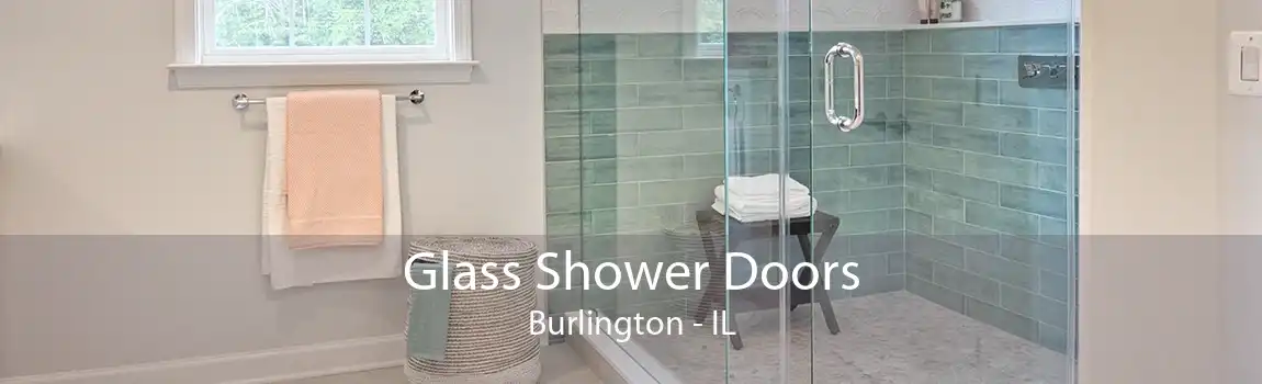 Glass Shower Doors Burlington - IL