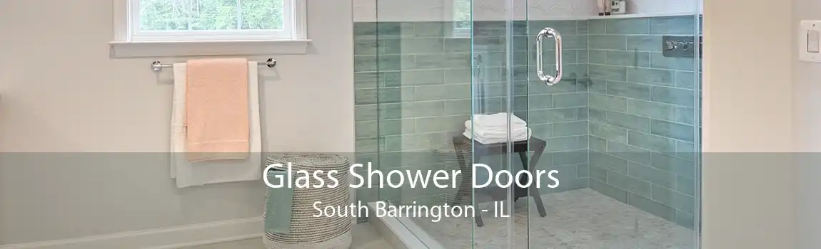 Glass Shower Doors South Barrington - IL