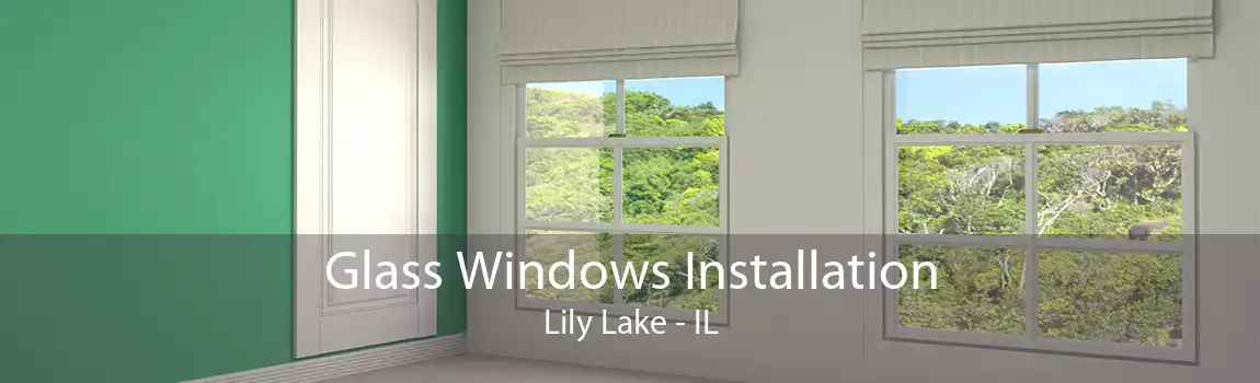 Glass Windows Installation Lily Lake - IL