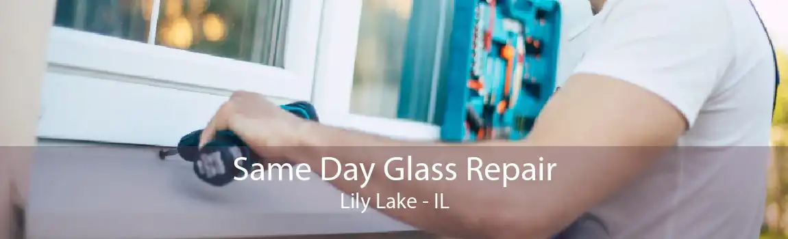 Same Day Glass Repair Lily Lake - IL