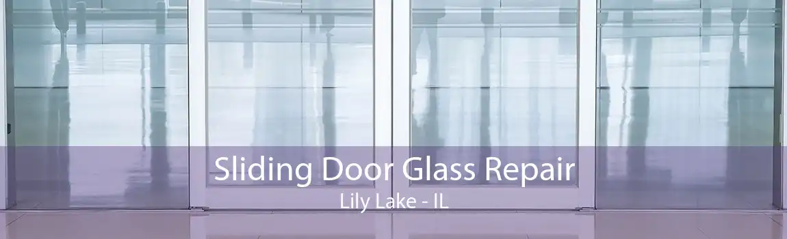 Sliding Door Glass Repair Lily Lake - IL