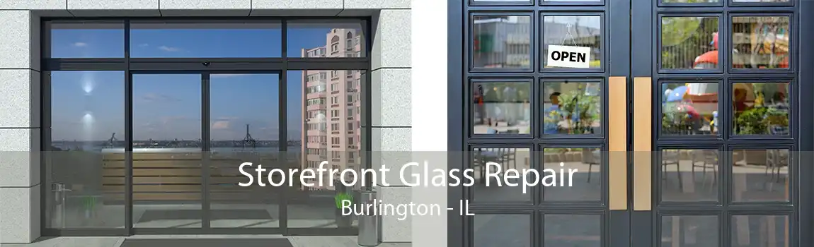 Storefront Glass Repair Burlington - IL