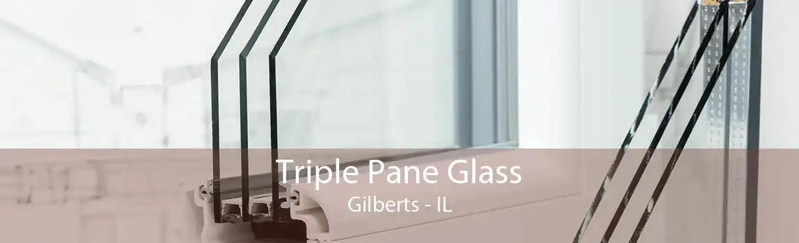 Triple Pane Glass Gilberts - IL