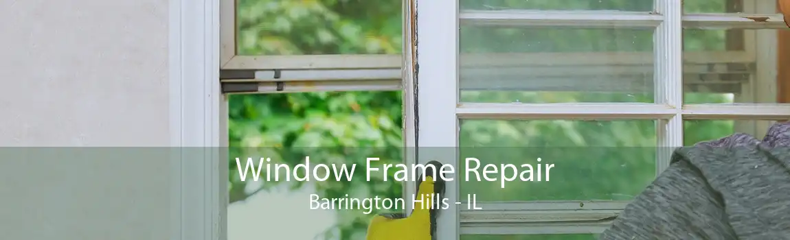 Window Frame Repair Barrington Hills - IL
