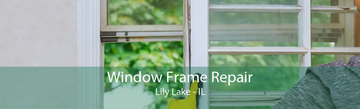 Window Frame Repair Lily Lake - IL