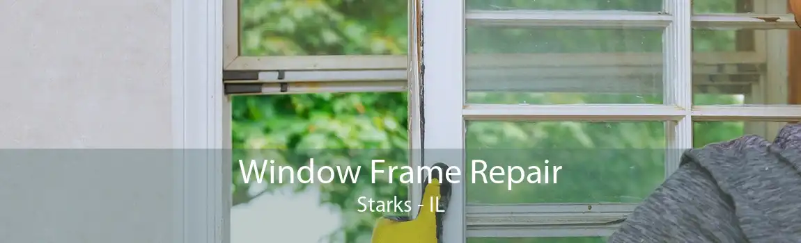 Window Frame Repair Starks - IL