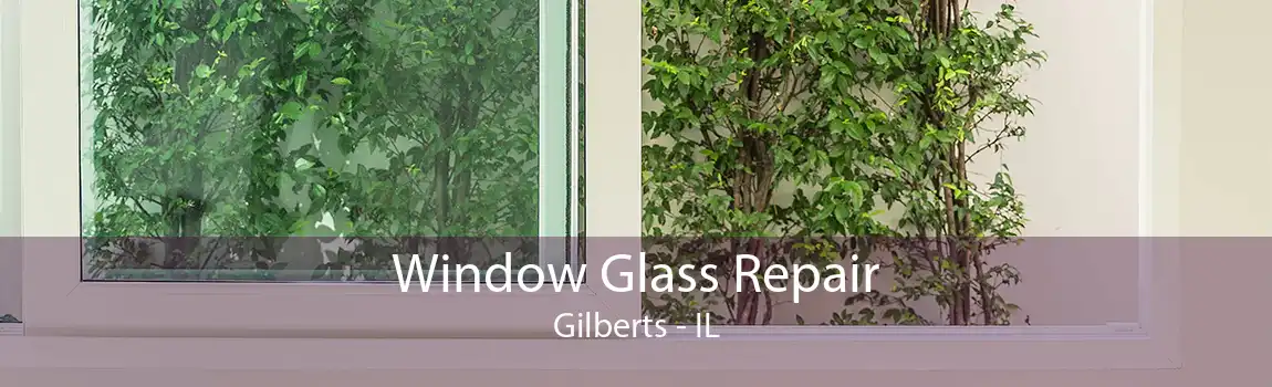 Window Glass Repair Gilberts - IL